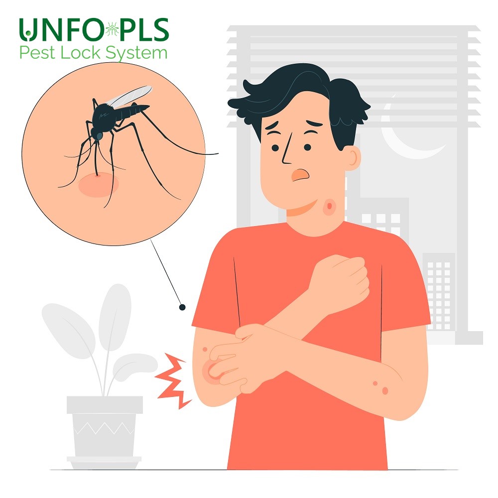 Dove si sviluppano le zanzare in casa?